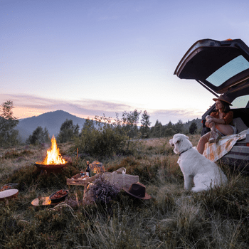 ACTIVITIES  > HIKE AND CAMP > CAR CAMPING - Bill & Paul's Sporthaus