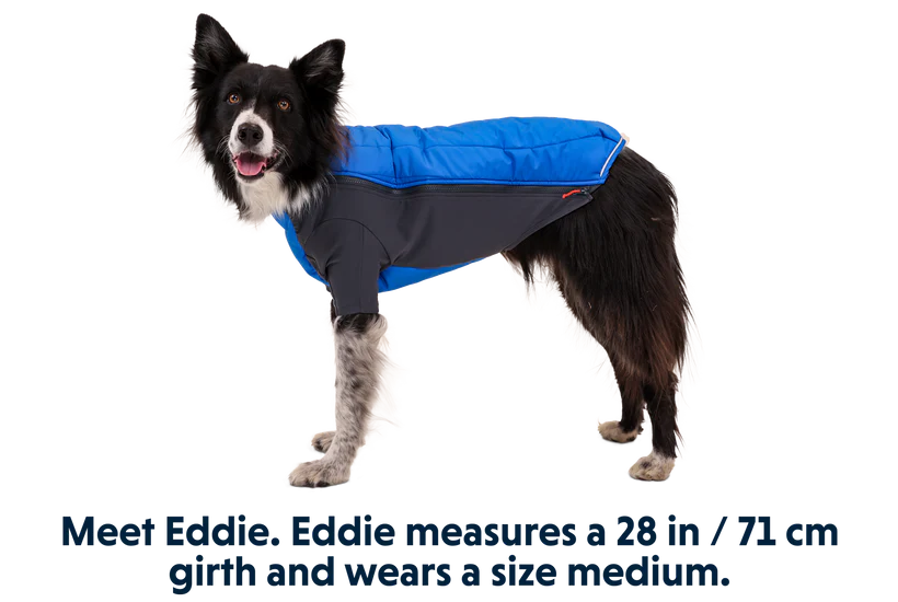 Powder Hound Jacket