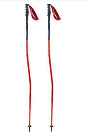 WC Pro Super G Pole Alu