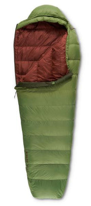 Cosmic 40 Down Regular