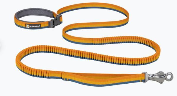 Roamer Bungee Leash Small