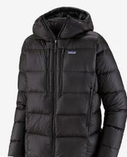 Mens Fitz Roy Down Hoody