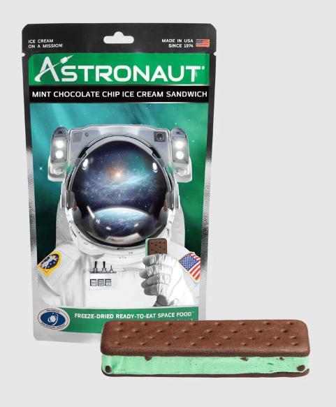 Mint Choc Chip Ice Cream Sandwich