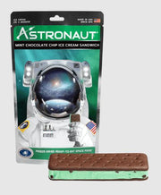 Mint Choc Chip Ice Cream Sandwich