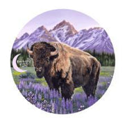 Purple Bison Patch
