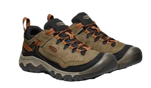 Mens Targhee IV Waterproof Hiking Shoe