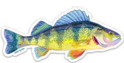 Perch Sticker - Bill & Paul's Sporthaus