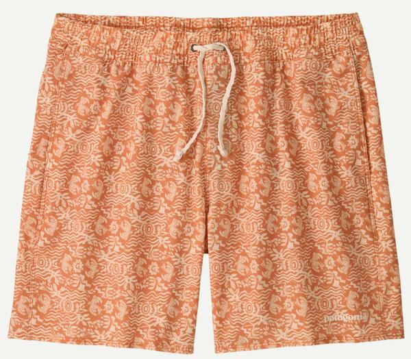 Mens Hydropeak Volley Shorts  16