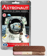 Neapolitan Ice Cream Sandwich