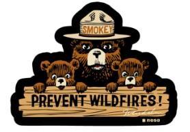 Smokey Bear Prevent Fires Patch