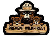 Smokey Bear Prevent Fires Patch