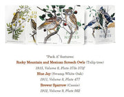 Birds  Trees of North America (A)