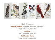 Birds  Trees of North America (C)