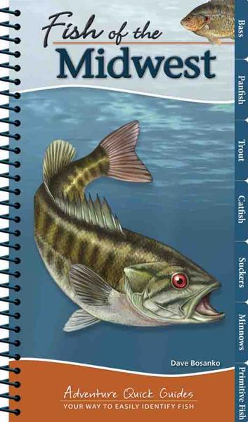 Fish of the Midwest Guide