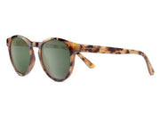 Barnes Yellow Tortoise
