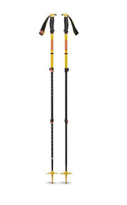 Traverse 3 Ski Poles