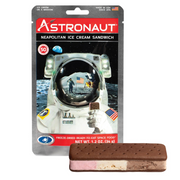 Neapolitan Ice Cream Sandwich