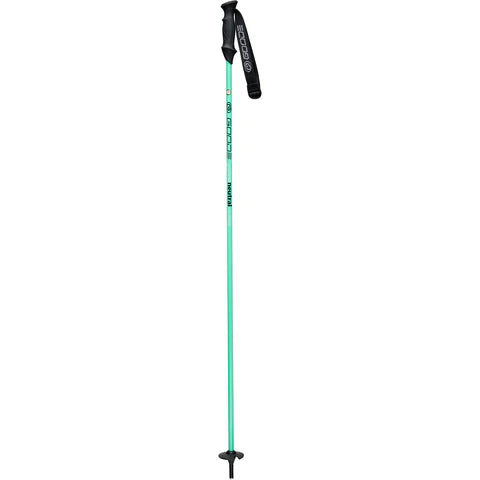 Carbon Neutral Ski Poles