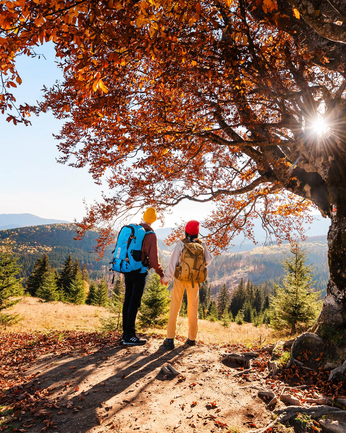 Family Hiking in the mountains