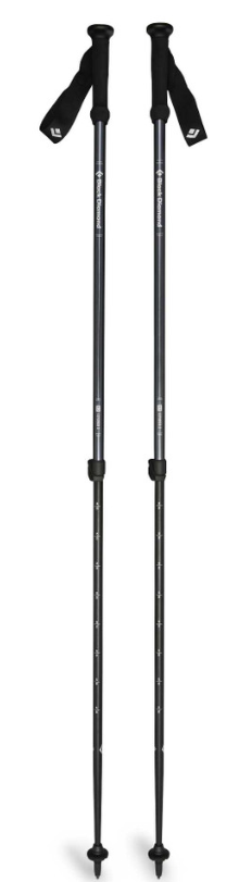 Explorer 2 Trekking Poles