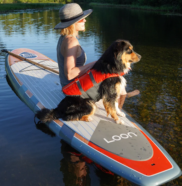 The Standard ABS 116