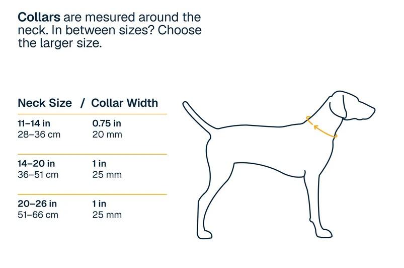 Ridgeline Collar