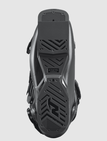 Doberman 5 Soft LC (25/26)