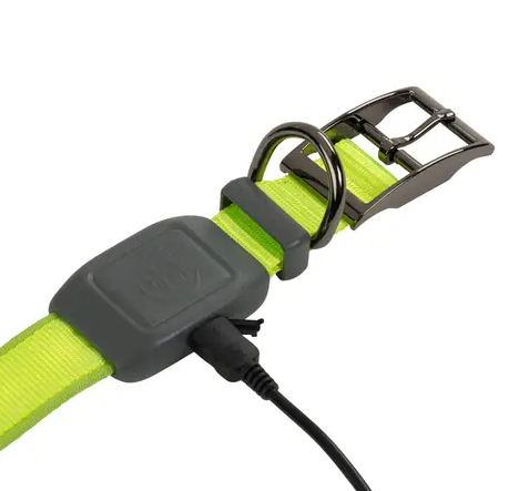 NiteDog Rechargeable LED Collar