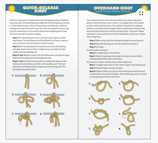 Essential Knots