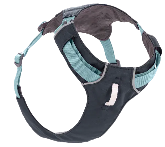 Hi  Light Dog Harness