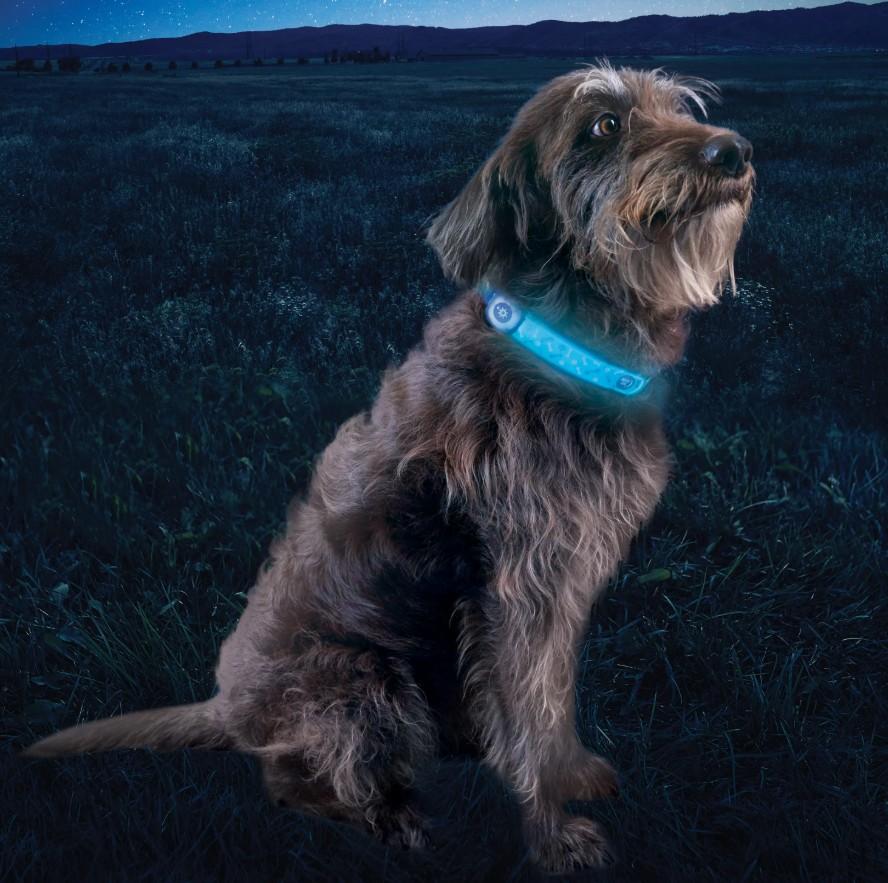 LED Collar Cover DiscO