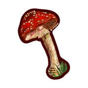 Red Mushroom Patch