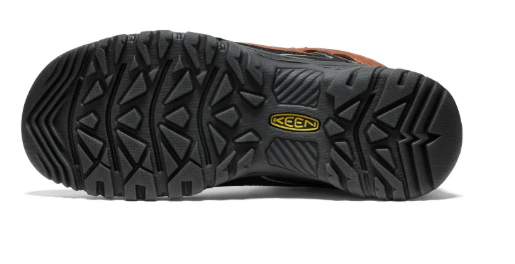 Mens Targhee IV Waterproof Hiking Boot