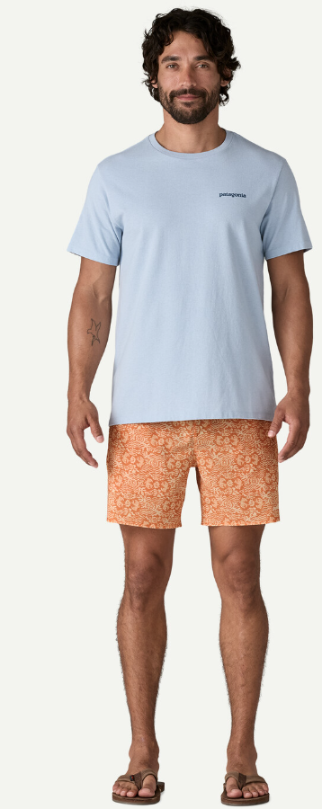 Mens Hydropeak Volley Shorts  16