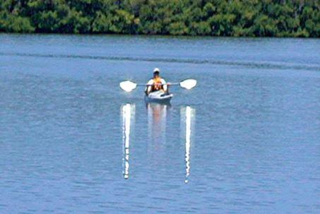 Paddle Reflectors (8pk)