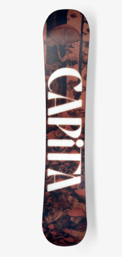 Womens Paradise (25/26)