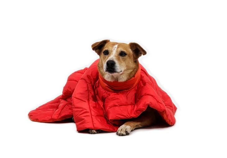 Palisades Sleep Poncho