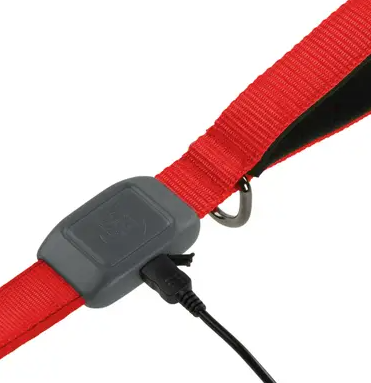 NiteDog Rechargeable LED Leash