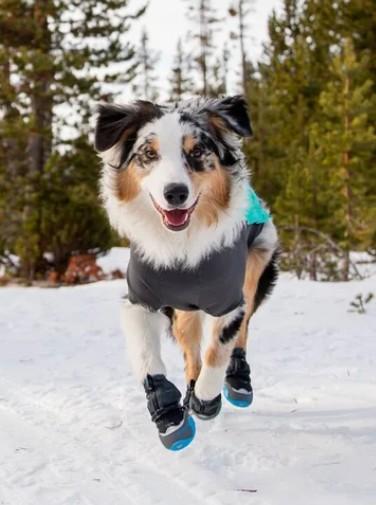 Polar Trex Winter Boots