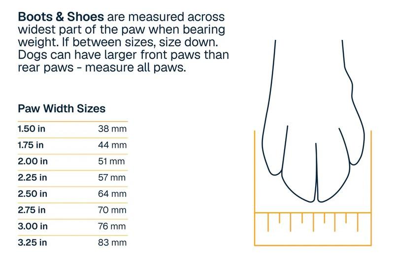Ridgeline Shoes