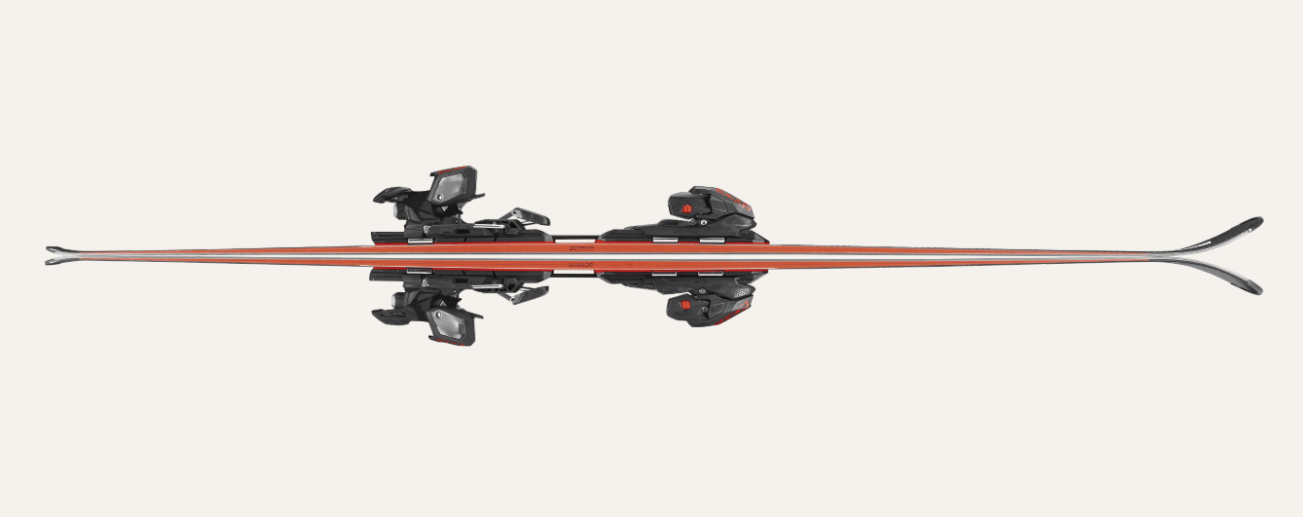 Dobermann SLR DC w/Comp 13 (25/26)