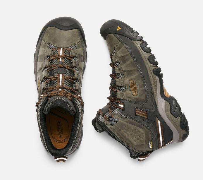 Mens Targhee III WP Mid  Black Olive/Golden Brown