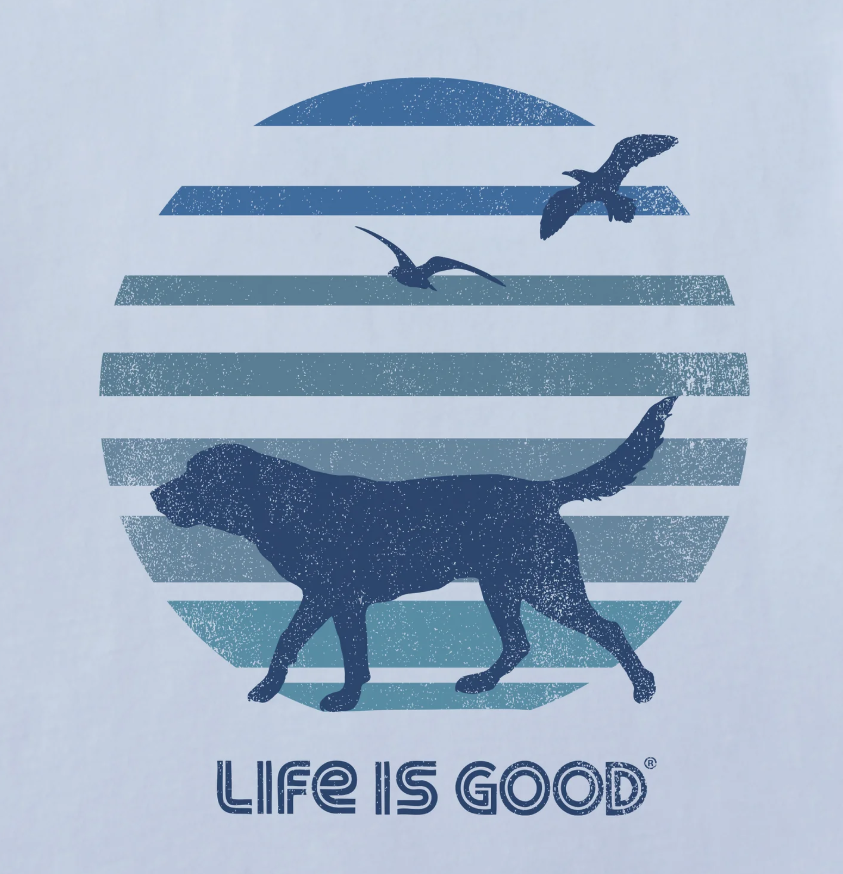 Mens 70s Retro Dog Beach Walk Short Sleeve Crusher Tee