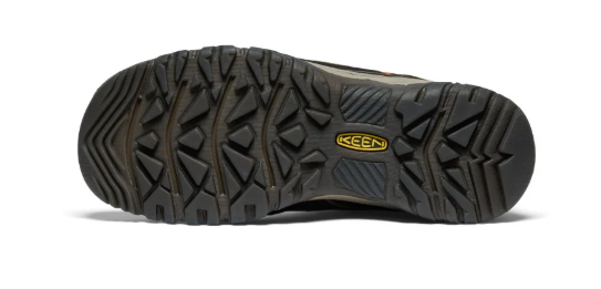 Mens Targhee IV Waterproof Hiking Shoe