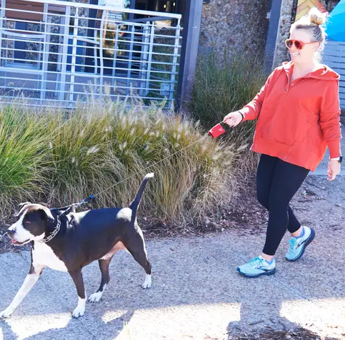 RadDog Retractable Pocket LeashSmall