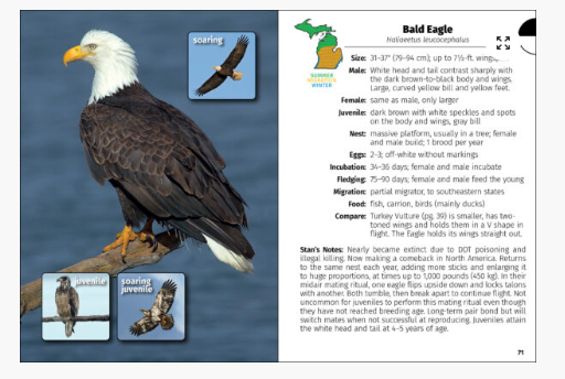 Birds of Michigan Field Guide