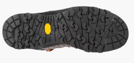 Mens Alp Trainer 2 Mid GTX